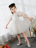Kids Little Girls' Dress Princess Dress Birthday Dress Princess Cute Dresses  Children's Occasion Wear