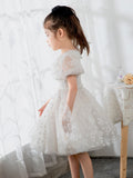 Kids Little Girls' Dress Princess Dress Birthday Dress Princess Cute Dresses  Children's Occasion Wear - dressblee