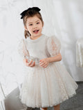 Kids Little Girls' Dress Birthday Dress Princess Cute Dresses  Children's Occasion Wear Daisy