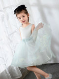 Kids Little Girls' Dress Birthday Dress Princess Cute Dresses  Children's Occasion Wear Party Dresses
