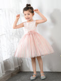Kids Little Girls' Princess Cute Dresses  Party Dresses Birthday Dress Children's Occasion Wear - dressblee