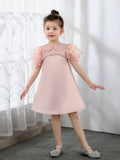 Kids Princess Cute Dresses Birthday Dress Children's Occasion Wear Party Dresses