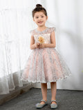 Lace Kids Princess Cute Dresses Birthday Dress Children's Occasion Wear Party Dresses Girls Flower Dresses