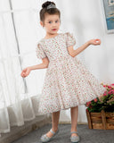 Kids Dress Girls Princess Cute Dresses Short Sleeves Birthday Dress Party Dresses - dressblee