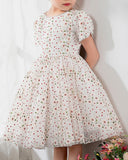 Kids Dress Girls Princess Cute Dresses Short Sleeves Birthday Dress Party Dresses - dressblee