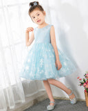 Light Blue Tulle Girls Princess Cute Dresses Birthday Dress Party Dresses Kids Dresses Boutique