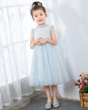 Light Blue Sleeveless Beaded Girls Princess Dresses Birthday Dress Party Dresses  Children's Occasion Wear