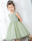 Sleeveless Girls Cute Princess Dresses Kids Party Dresses Birthday Dresses Children's Occasion Wear
