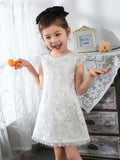 Kids Little Girls' Dress Floral Solid Colored Dress Birthday dress  Lace Sleeveless Princess Cute Dresses - dressblee