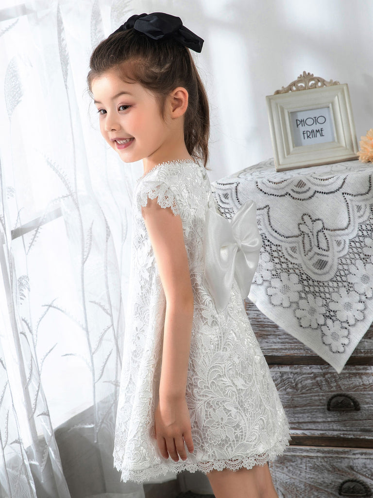 Kids Little Girls' Dress Floral Solid Colored Dress Birthday dress  Lace Sleeveless Princess Cute Dresses - dressblee