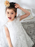 Kids Little Girls' Dress Floral Solid Colored Dress Birthday dress  Lace Sleeveless Princess Cute Dresses - dressblee