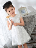 Kids Little Girls' Dress Floral Solid Colored Dress Birthday dress  Lace Sleeveless Princess Cute Dresses - dressblee