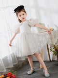 Kids Little Girls' Dress Princess Dress Birthday Dress Princess Cute Dresses  Children's Occasion Wear - dressblee