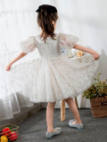 Kids Little Girls' Dress Princess Dress Birthday Dress Princess Cute Dresses  Children's Occasion Wear - dressblee