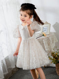 Kids Little Girls' Dress Princess Dress Birthday Dress Princess Cute Dresses  Children's Occasion Wear - dressblee