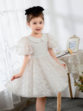 Kids Little Girls' Dress Princess Dress Birthday Dress Princess Cute Dresses  Children's Occasion Wear - dressblee