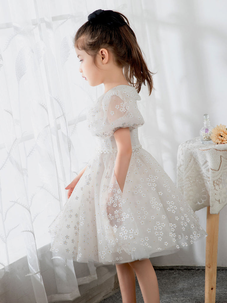 Toddler Clothing, Children Baby Girls Middle-aged Children's Sleeveless  Embroidery Mesh Dress Gauze Dress Princess Dress - Walmart.com