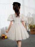 Kids Little Girls' Dress Princess Dress Birthday Dress Princess Cute Dresses  Children's Occasion Wear - dressblee