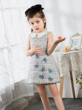 Kids Little Girls' Dress Birthday Dress Princess Cute Dresses  Children's Occasion Wear - dressblee