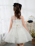 Kids Little Girls' Dress Birthday Dress Sleeveless Princess Cute Dresses  Children's Occasion Wear - dressblee
