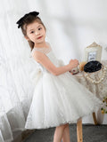 Kids Little Girls' Dress Birthday Dress Sleeveless Princess Cute Dresses  Children's Occasion Wear - dressblee