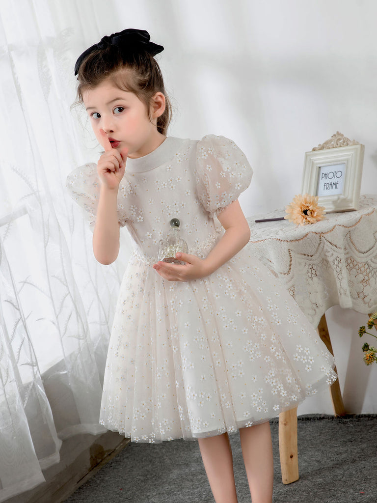 Kids Little Girls' Dress Birthday Dress Princess Cute Dresses  Children's Occasion Wear Daisy - dressblee
