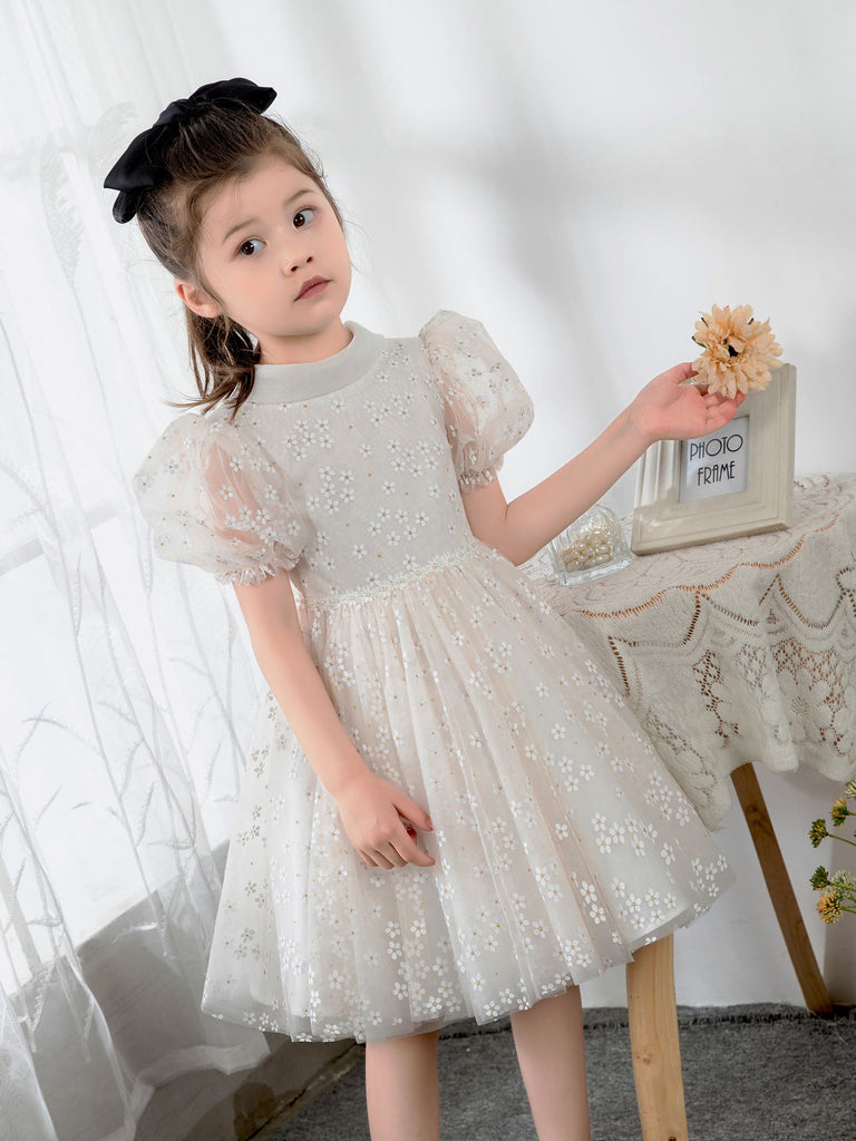 Kids Little Girls' Dress Birthday Dress Princess Cute Dresses  Children's Occasion Wear Daisy - dressblee