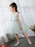 Kids Little Girls' Dress Birthday Dress Princess Cute Dresses  Children's Occasion Wear Party Dresses - dressblee
