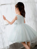 Kids Little Girls' Dress Birthday Dress Princess Cute Dresses  Children's Occasion Wear Party Dresses - dressblee
