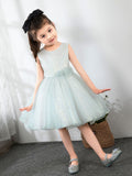 Kids Little Girls' Dress Birthday Dress Princess Cute Dresses  Children's Occasion Wear Party Dresses - dressblee