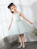 Kids Little Girls' Dress Birthday Dress Princess Cute Dresses  Children's Occasion Wear Party Dresses - dressblee