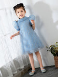 Bow Tie Kids Little Girls' Dress Birthday Dress Princess Cute Dresses  Children's Occasion Wear Party Dresses - dressblee
