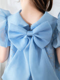 Bow Tie Kids Little Girls' Dress Birthday Dress Princess Cute Dresses  Children's Occasion Wear Party Dresses - dressblee