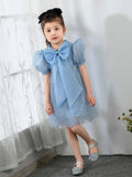 Bow Tie Kids Little Girls' Dress Birthday Dress Princess Cute Dresses  Children's Occasion Wear Party Dresses - dressblee