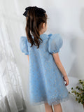 Bow Tie Kids Little Girls' Dress Birthday Dress Princess Cute Dresses  Children's Occasion Wear Party Dresses - dressblee