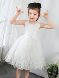 Kids Little Girls' Princess Cute Dresses  Children's Occasion Wear Party Dresses Birthday Dress