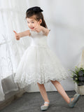 Kids Little Girls' Princess Cute Dresses  Children's Occasion Wear Party Dresses Birthday Dress - dressblee