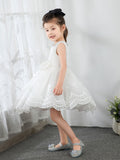 Kids Little Girls' Princess Cute Dresses  Children's Occasion Wear Party Dresses Birthday Dress - dressblee