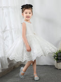 Kids Little Girls' Princess Cute Dresses  Children's Occasion Wear Party Dresses Birthday Dress - dressblee