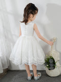Kids Little Girls' Princess Cute Dresses  Children's Occasion Wear Party Dresses Birthday Dress - dressblee