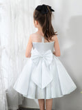 Little Flower Girls' Princess Cute Dresses  Children's Occasion Wear Party Dresses Birthday Dress - dressblee