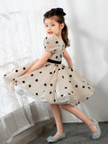 Kids Little Girls' Princess Cute Dresses  Children's Occasion Wear Party Dresses Birthday Dress - dressblee
