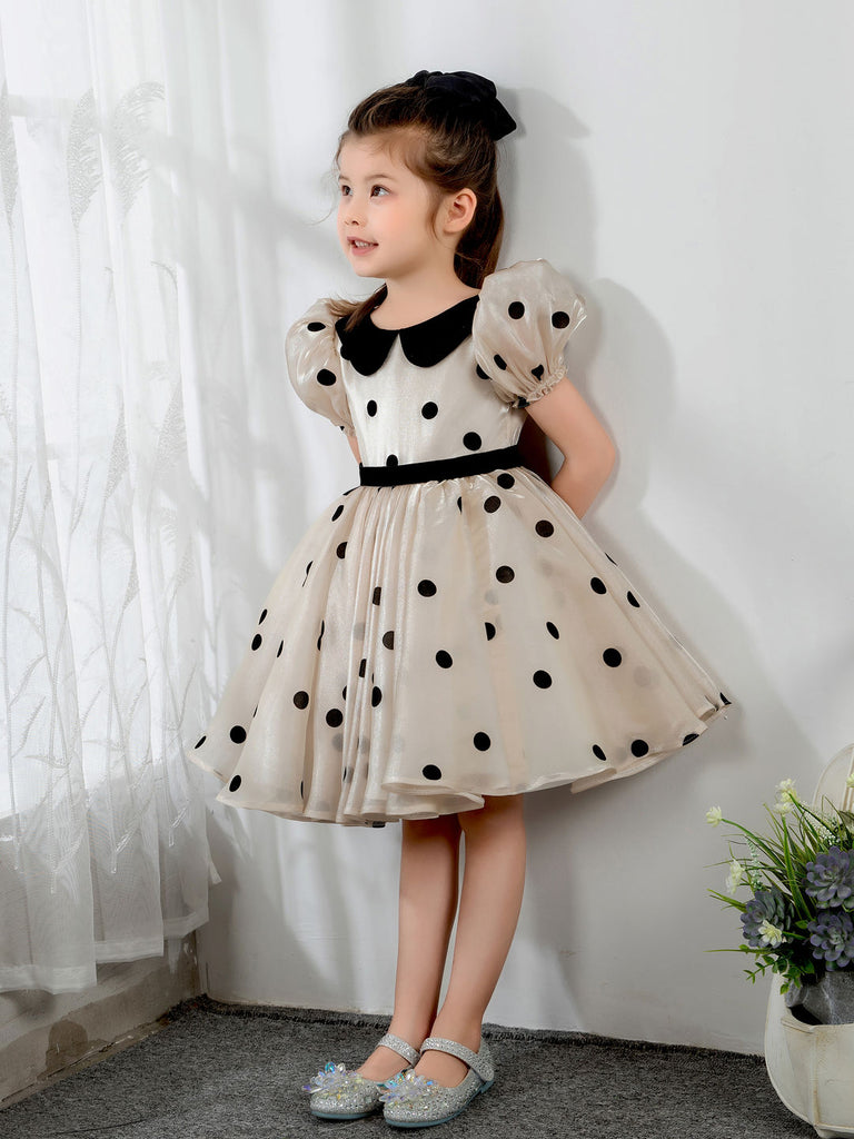 Kids Little Girls' Princess Cute Dresses  Children's Occasion Wear Party Dresses Birthday Dress - dressblee