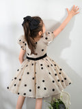 Kids Little Girls' Princess Cute Dresses  Children's Occasion Wear Party Dresses Birthday Dress - dressblee