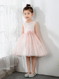 Kids Little Girls' Princess Cute Dresses  Party Dresses Birthday Dress Children's Occasion Wear - dressblee
