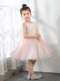 Kids Little Girls' Princess Cute Dresses  Party Dresses Birthday Dress Children's Occasion Wear - dressblee