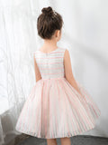 Kids Little Girls' Princess Cute Dresses  Party Dresses Birthday Dress Children's Occasion Wear - dressblee