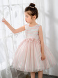 Kids Little Girls' Princess Cute Dresses  Party Dresses Birthday Dress Children's Occasion Wear - dressblee