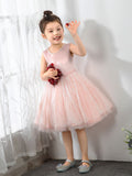 Kids Little Girls' Princess Cute Dresses Birthday Dress Party Dresses Children's Occasion Wear - dressblee