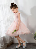 Kids Little Girls' Princess Cute Dresses Birthday Dress Party Dresses Children's Occasion Wear - dressblee